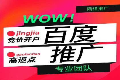 SEM代运营成功案例：打造行业领先品牌